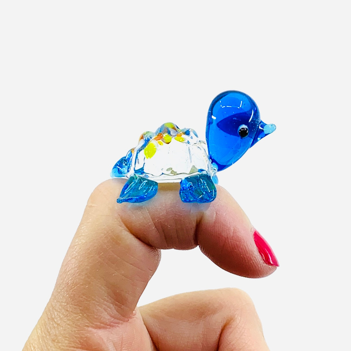 Glass Spotted Turtle