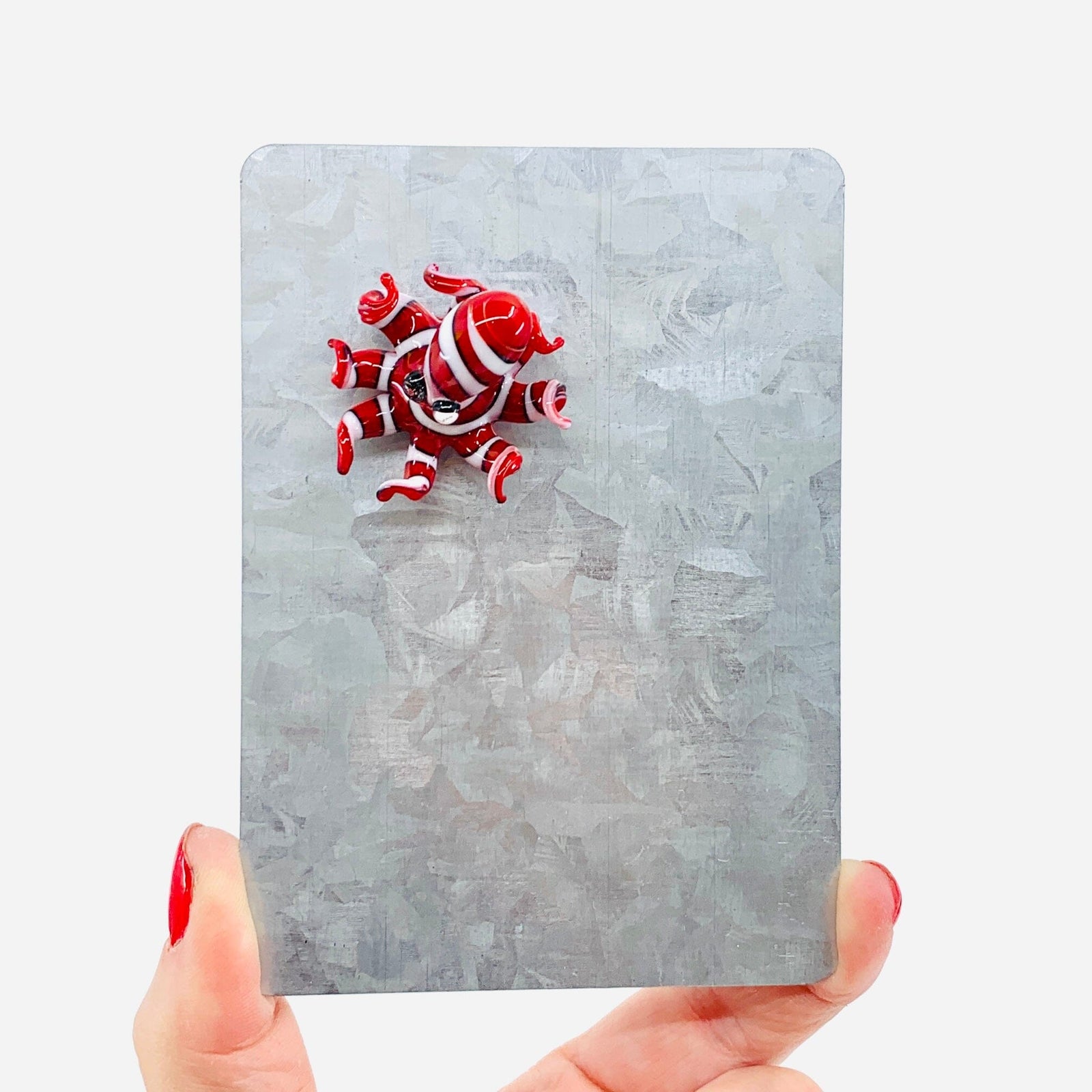 Glass Magnet, Octopus Dynasty 