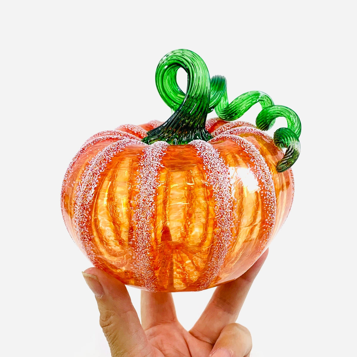 Daily Pumpkin 2745 Squat