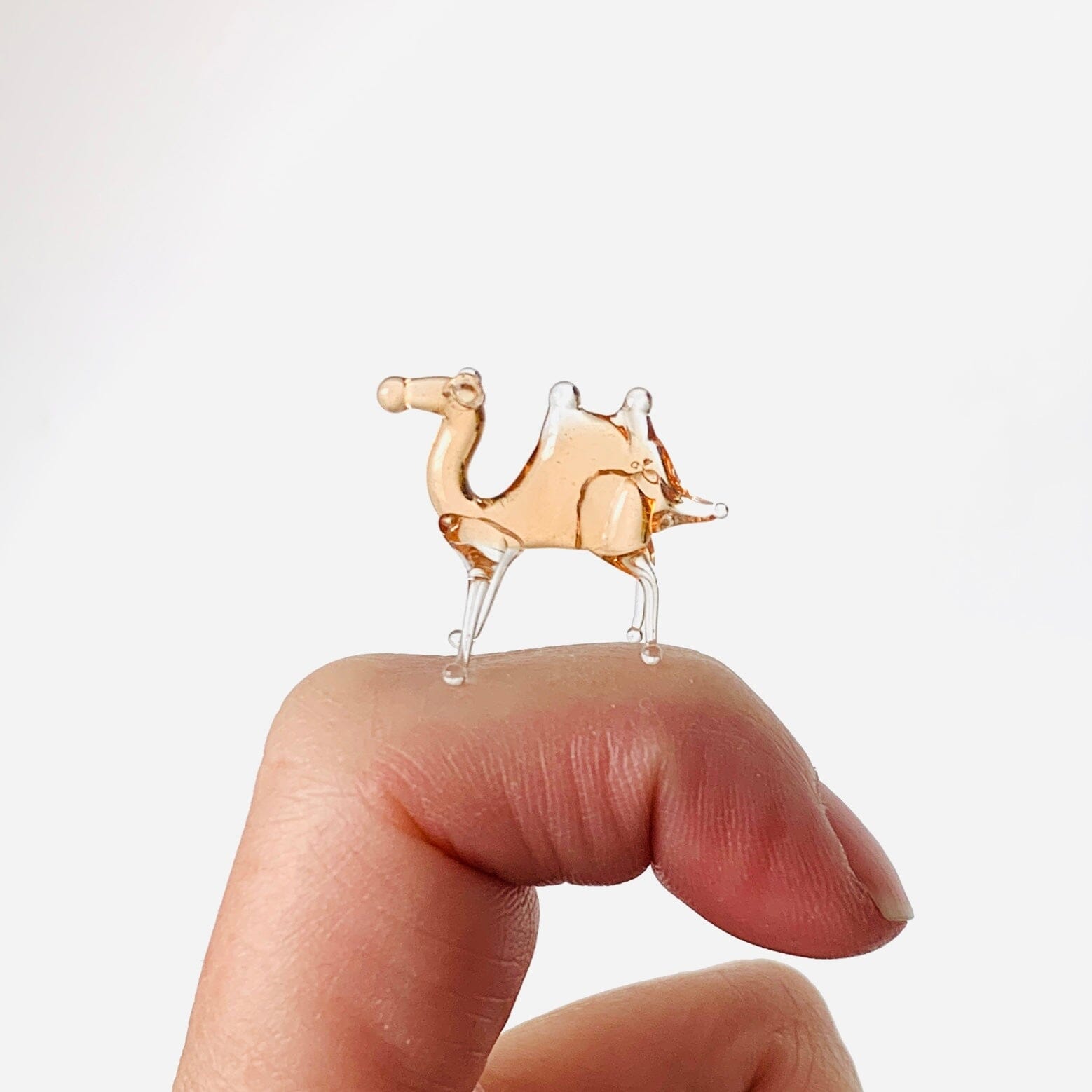 Teeny Teensie Camel 76 JACO 