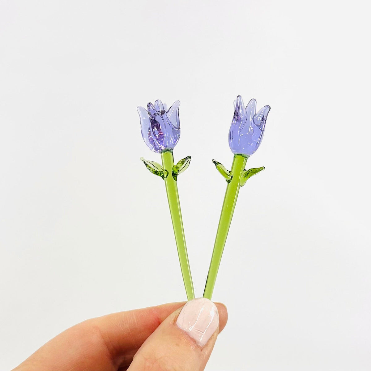 Tiny Tulips - Build Your Own Bouquet Alex Dutch Violet 