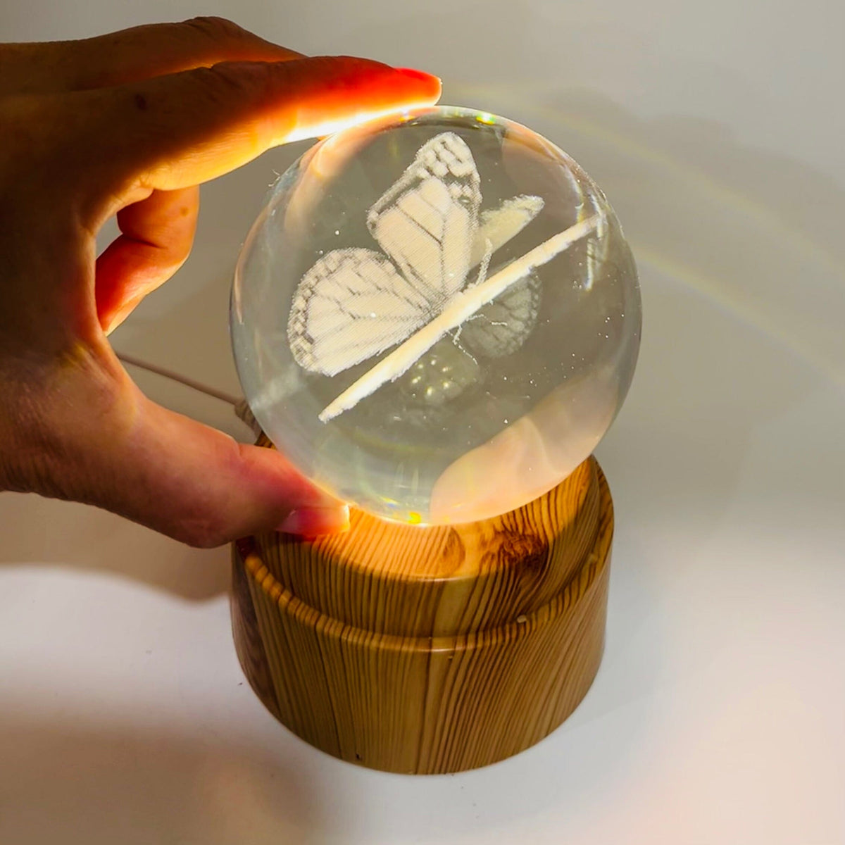 Butterfly Rotating Crystal Ball Lamp CALLA PRODUCTS 