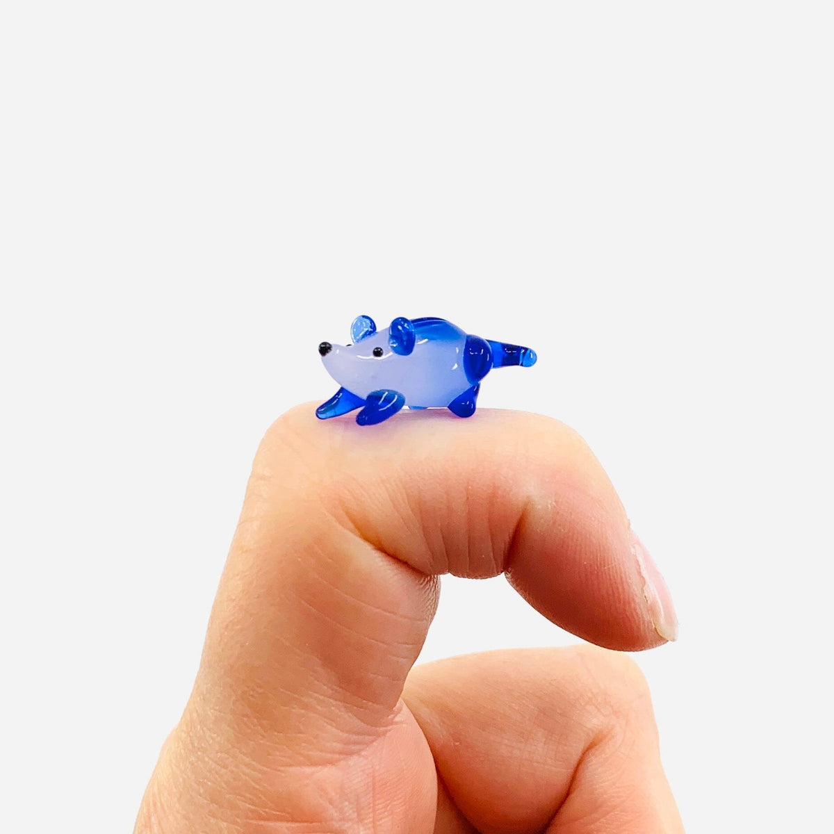 Teeny Teensie Blue Rat 35 JACO 