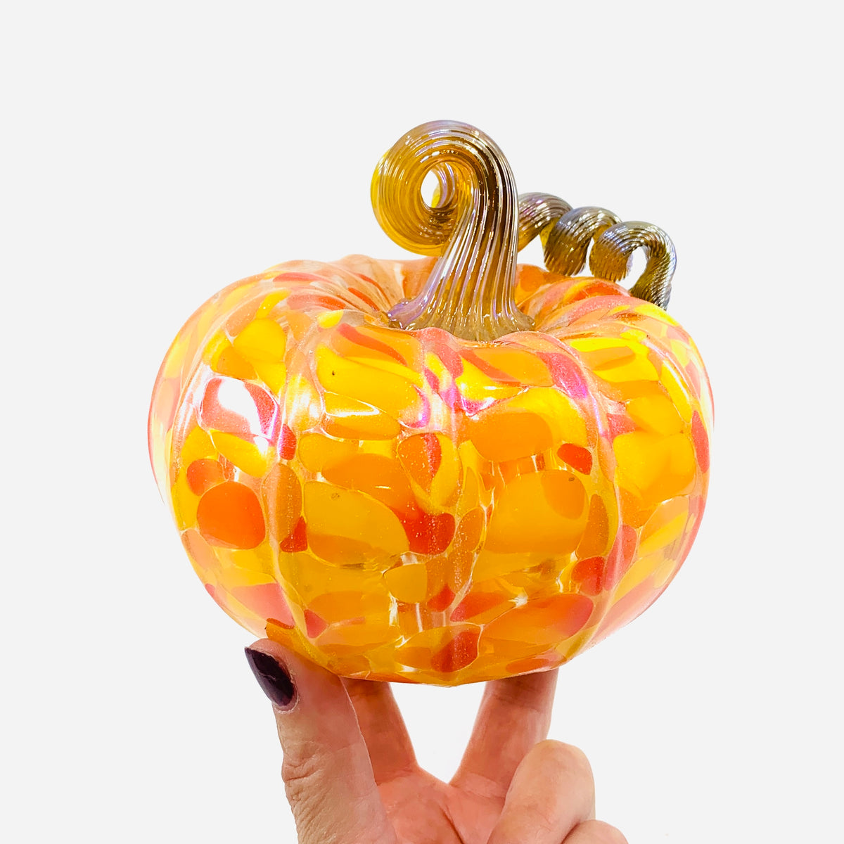 Daily Pumpkin 170 Fall Squat