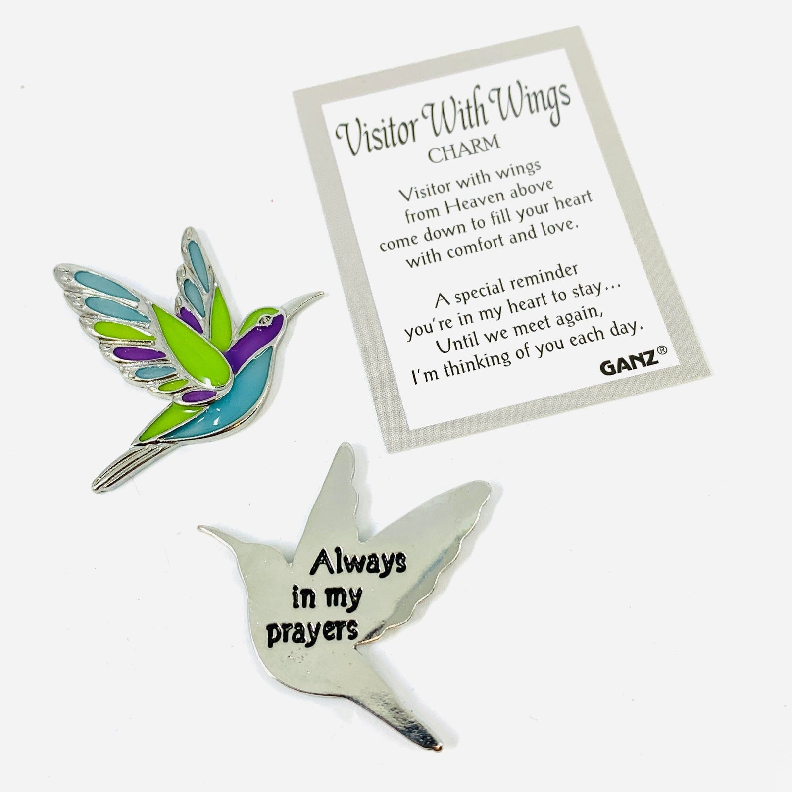 Visitor with Wings Pocket Charm PT 133 Hummingbird Miniature GANZ 