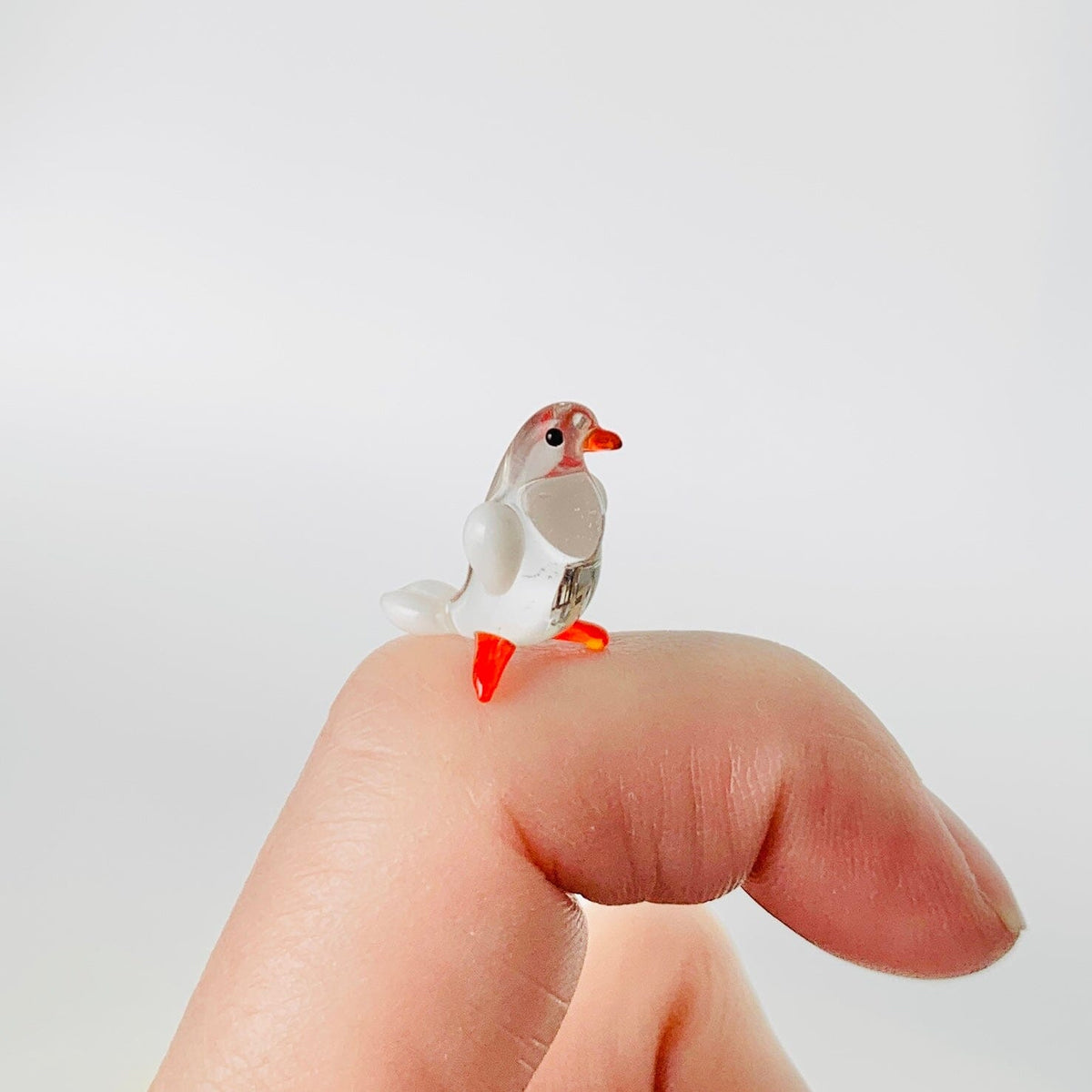 Teeny Teensie Bird 54 JACO 