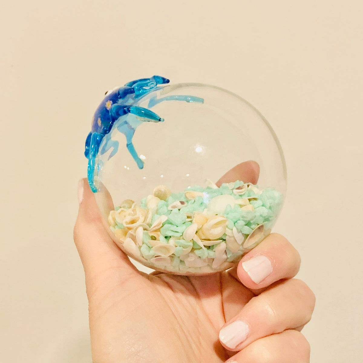 Glass Crab Globe with Sea Shells Decor Beachcombers 