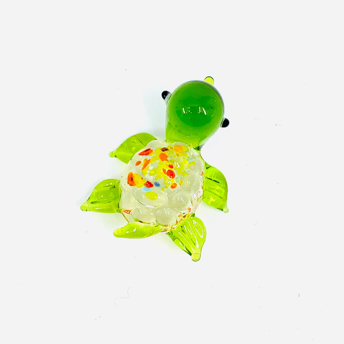 Glass Spotted Turtle