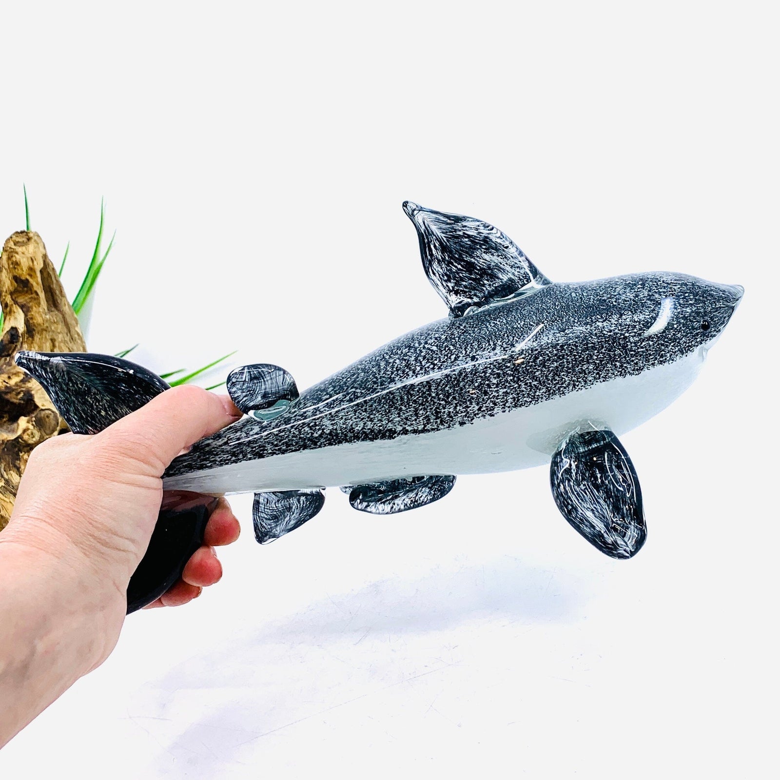 Great White Shark Large Glass Paperweight 22 Decor Chesapeake Bay 