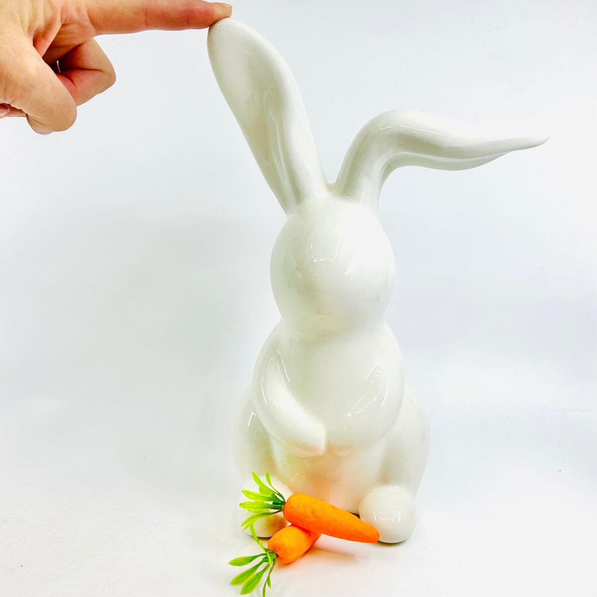 Biggie the Bunny One Hundred 80 Degrees 