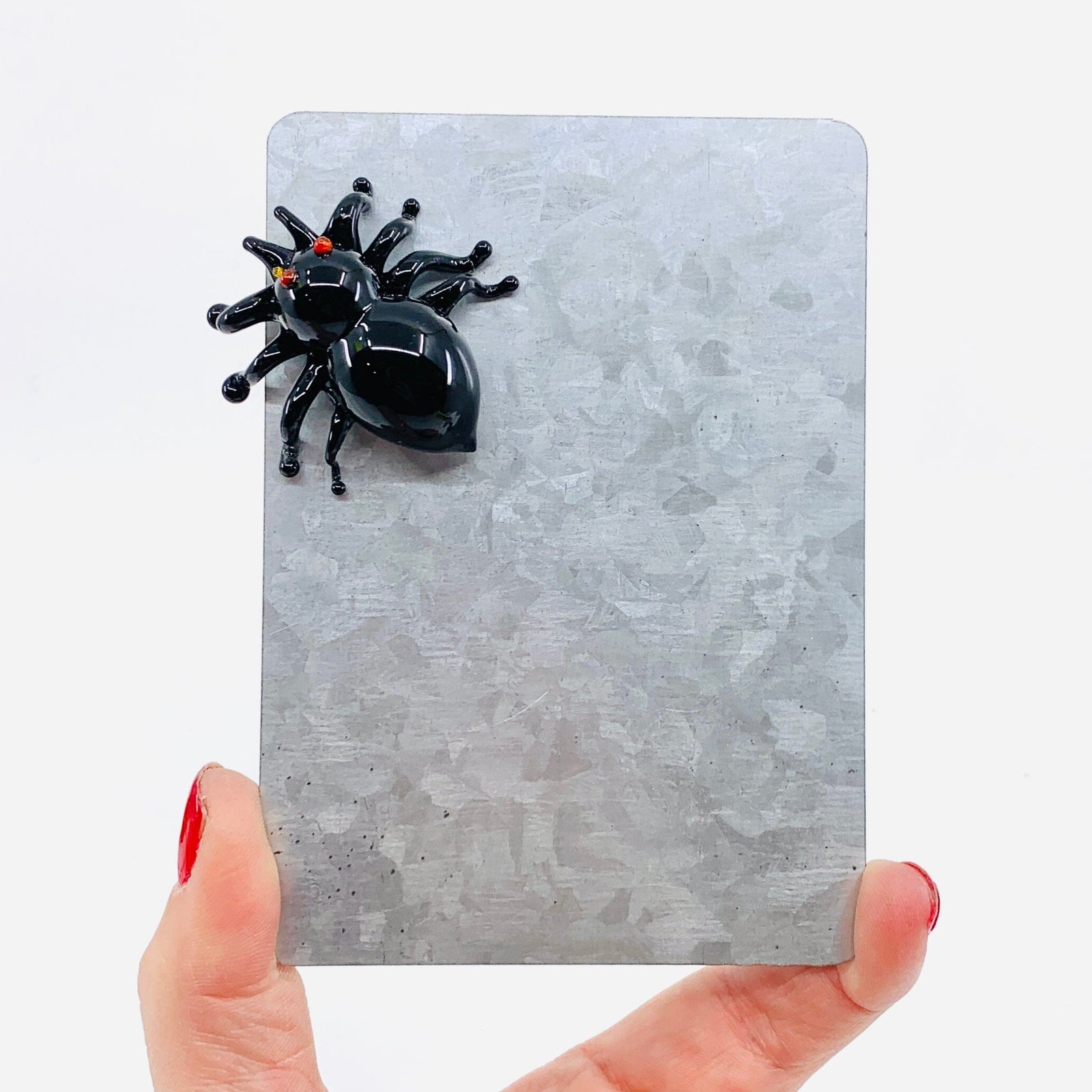 Glass Magnet, Spider Dynasty 