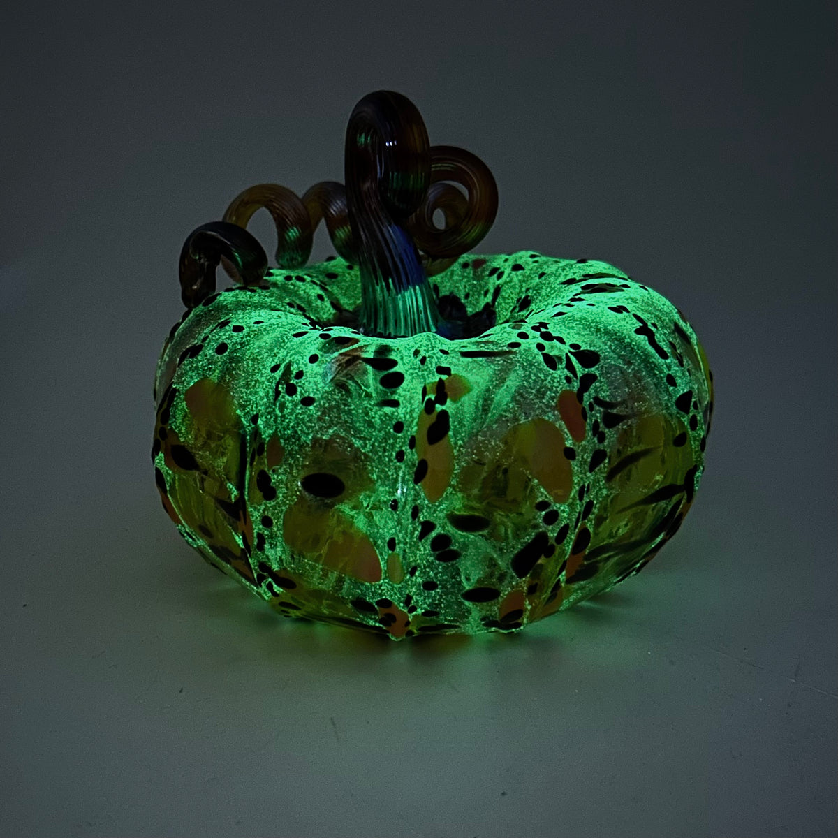 Daily Glow Pumpkin 805 Squat