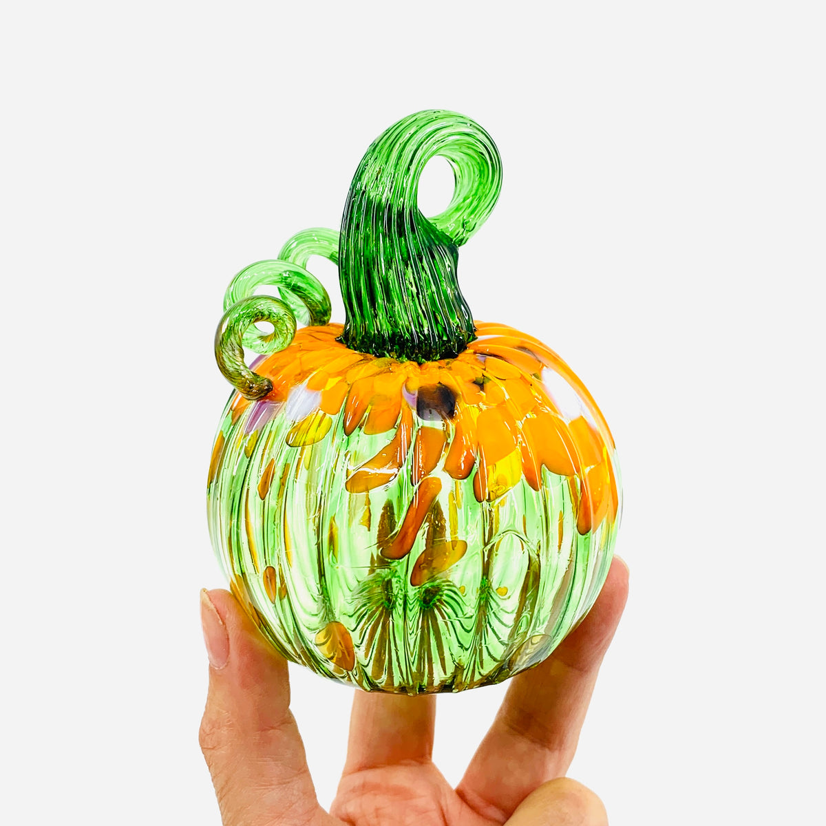 Daily Pumpkin 3262 Fall Mini