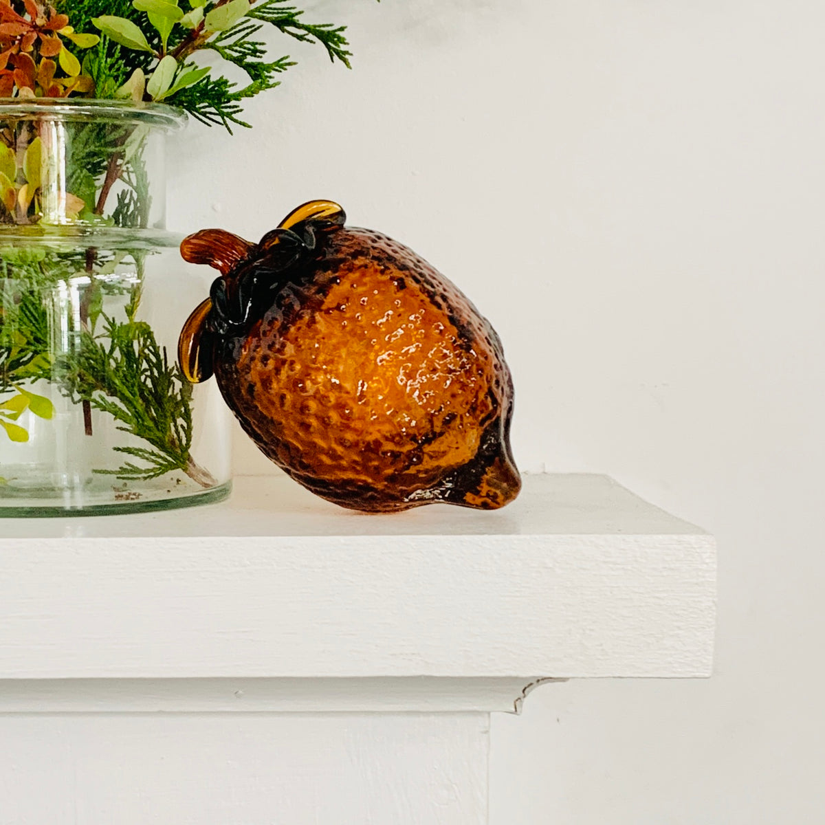 Glass Acorn, Coffee