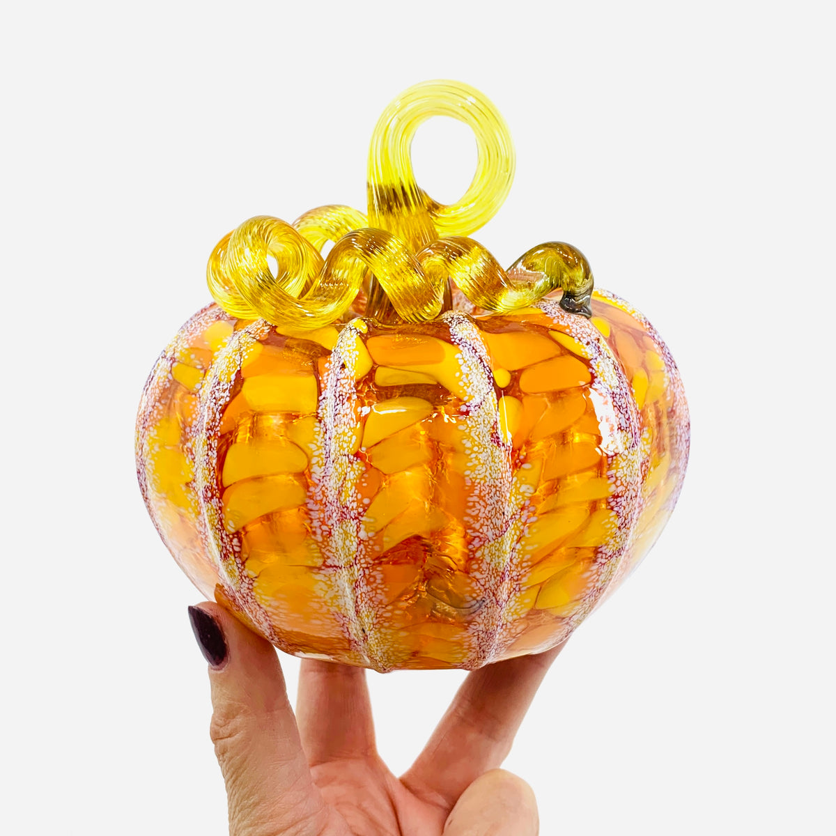 Daily Pumpkin 24 Fall Squat