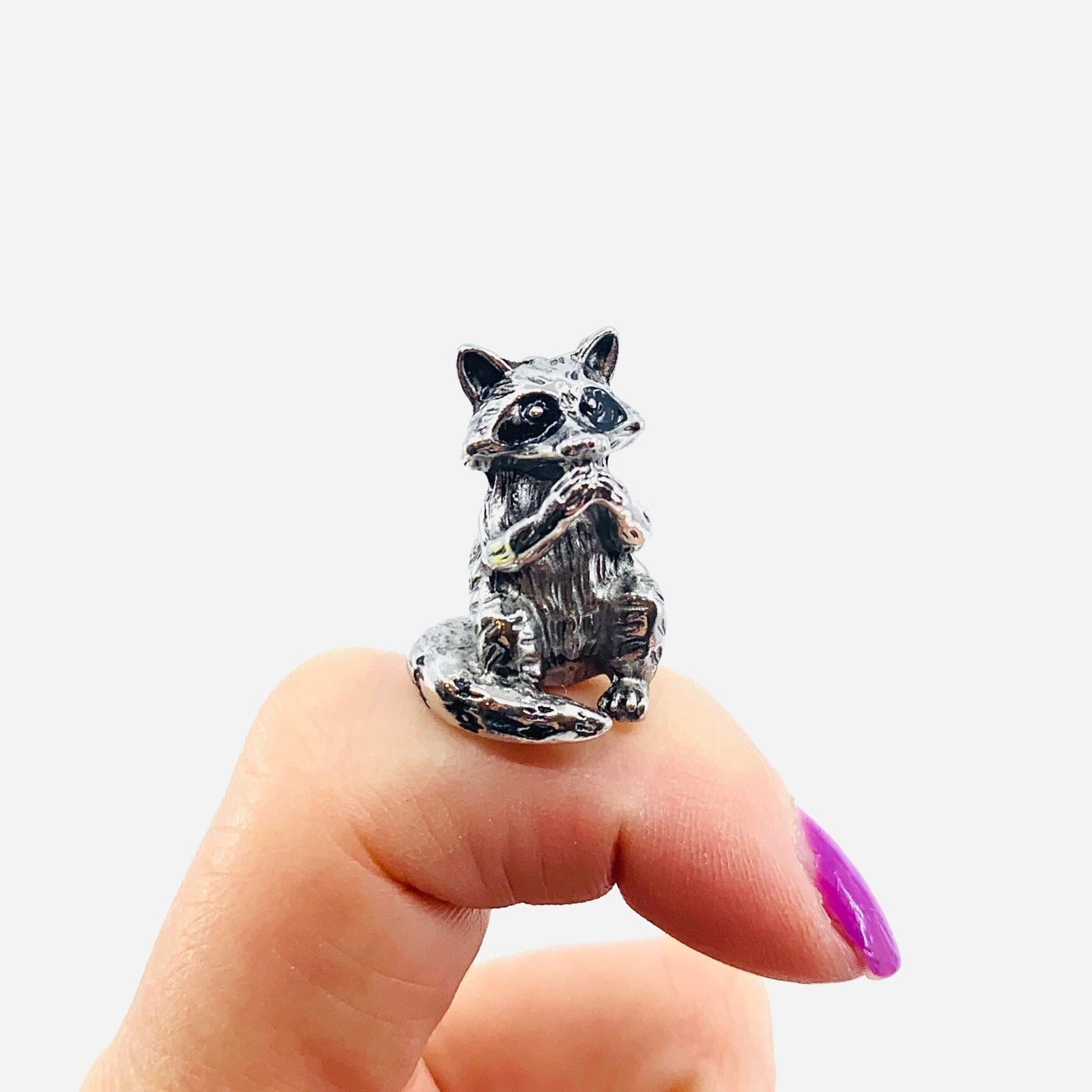 The Clever Racoon Charm - PT159 Miniature GANZ 