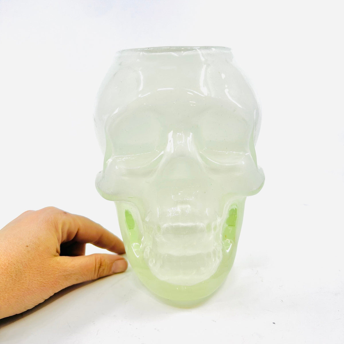 Daily Pumpkin 3578 Skull Gabby Diamond Star 