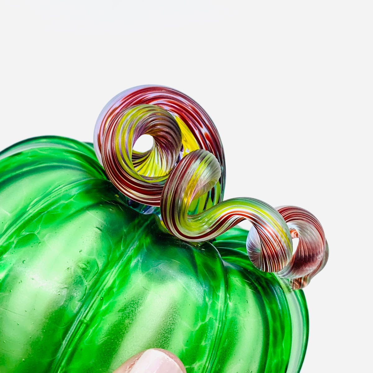 Daily Pumpkin 1188 Matte “Rainbow Stem” Squat