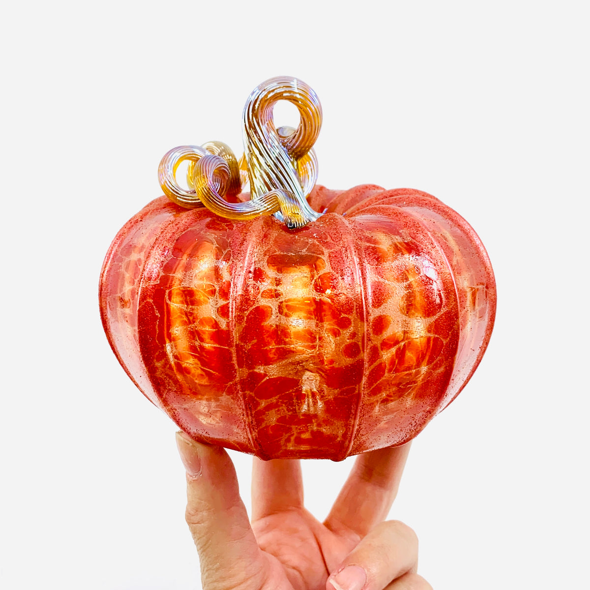 Daily Pumpkin 3581 Fall Shimmer Squat