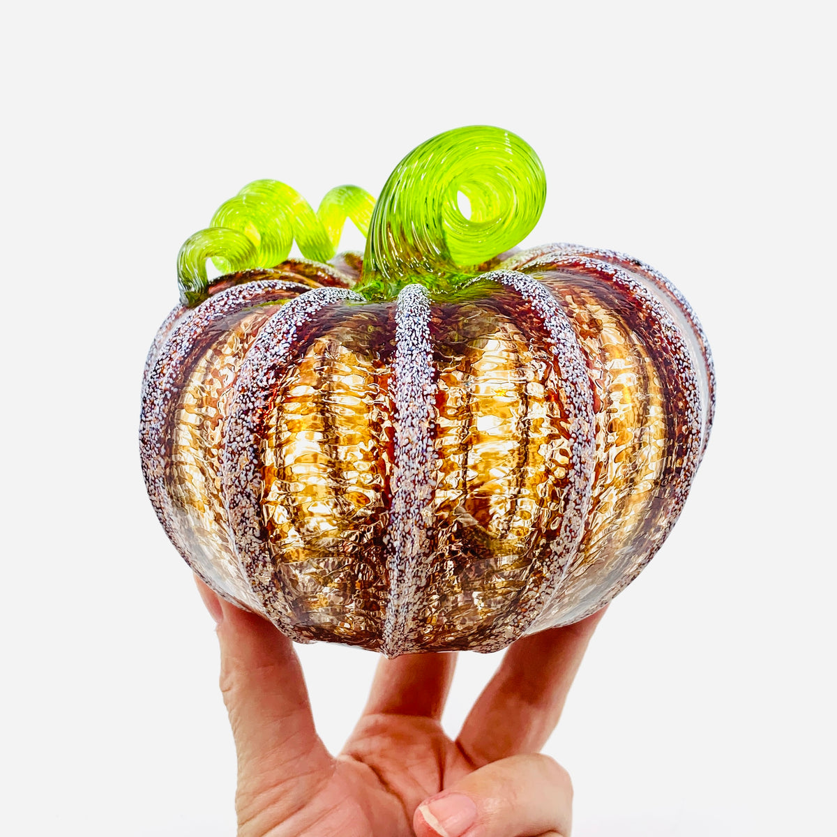 Daily Pumpkin 3648 Fall Squat