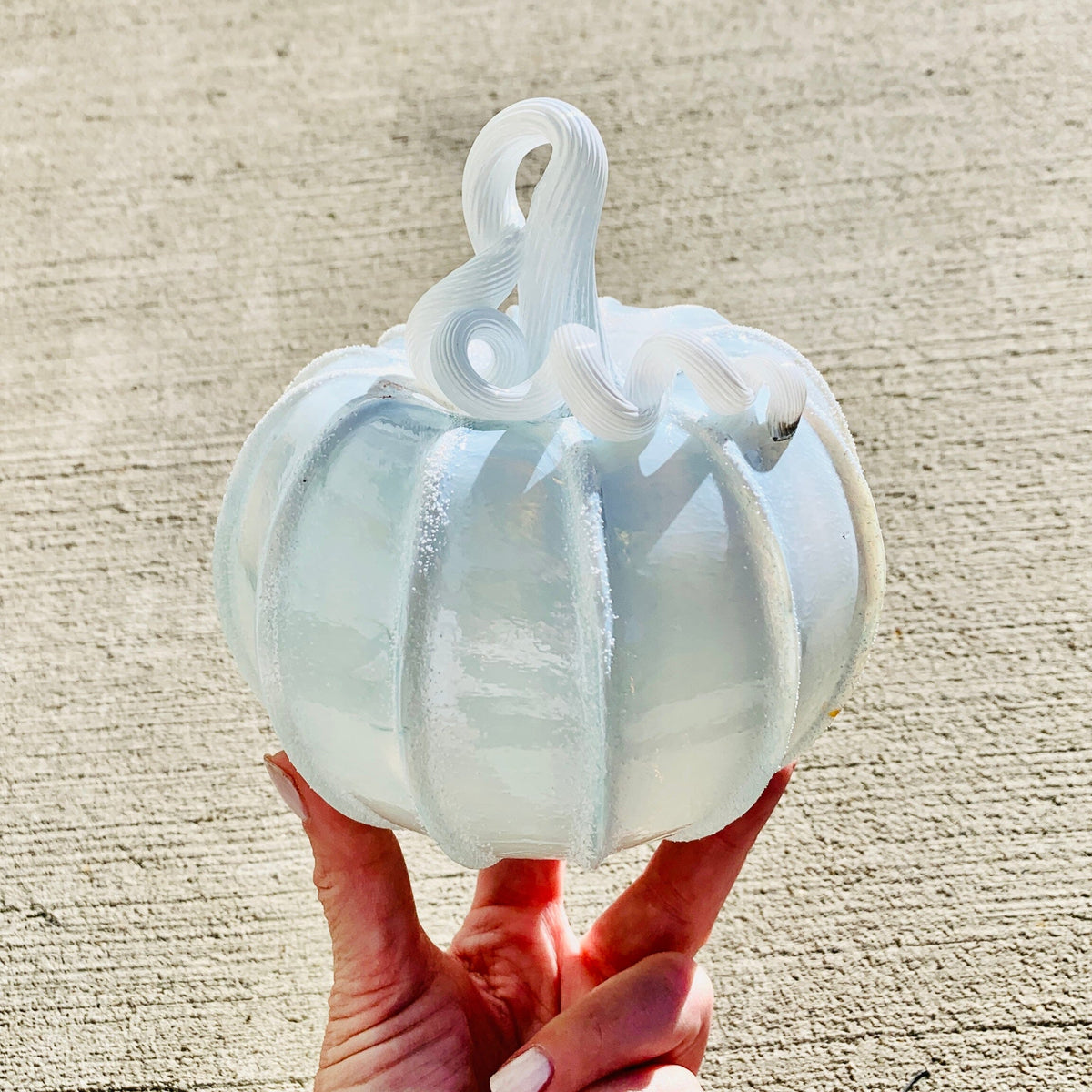 Daily Pumpkin 512 “The Illusive White Pumpkin” Daily Pumpkin Luke Adams Glass Blowing Studio 