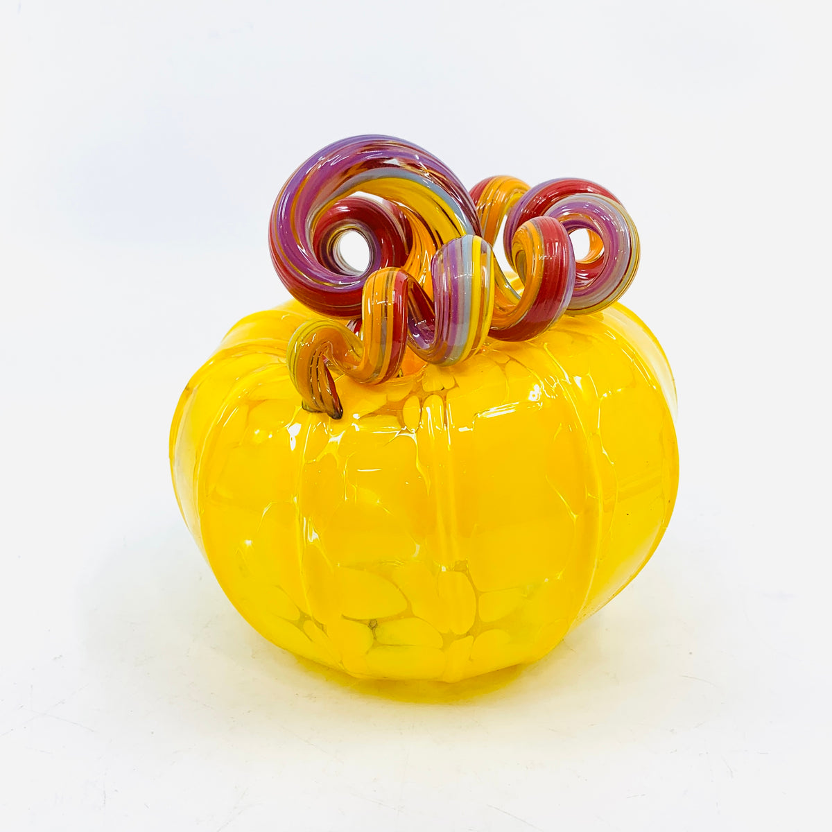 Daily Pumpkin 1138 Squat