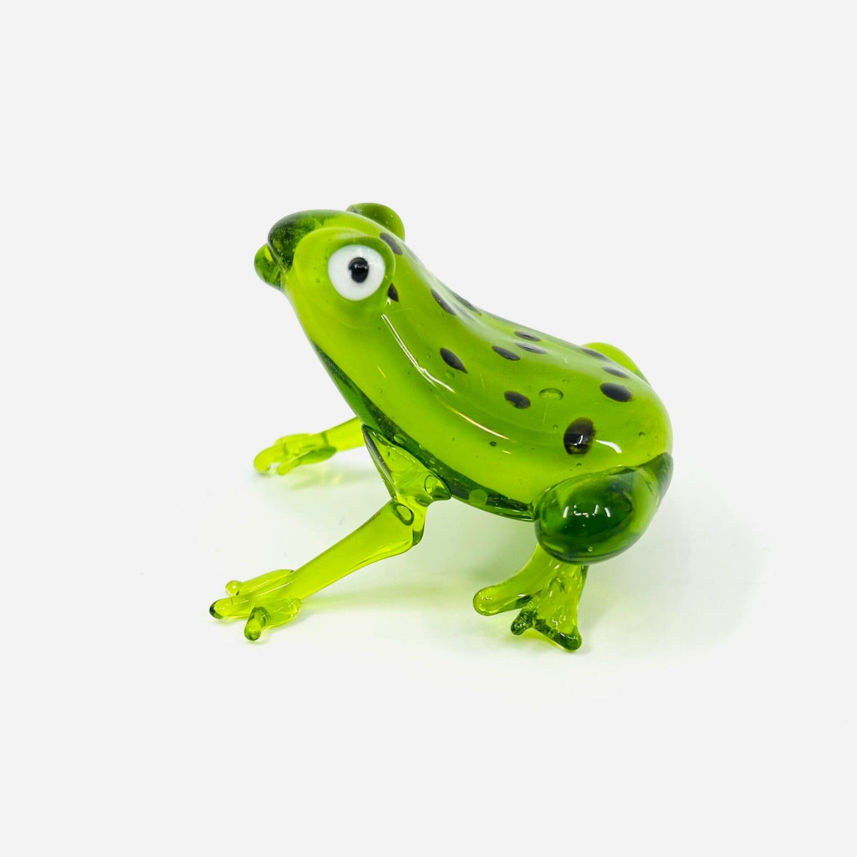 Pocket Frog Miniature Gift Essentials 
