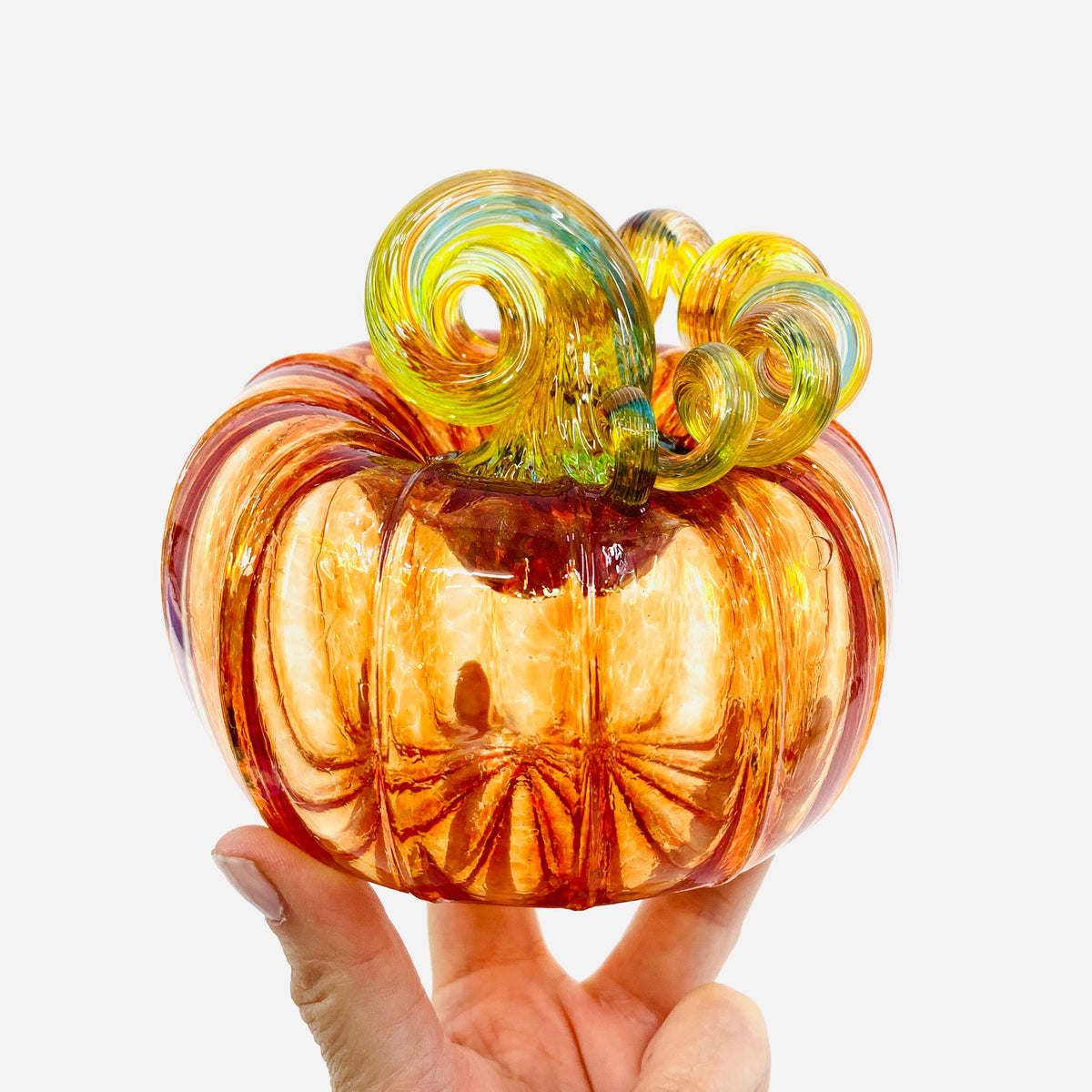 Daily Pumpkin 1110 Rainbow Stem Squat