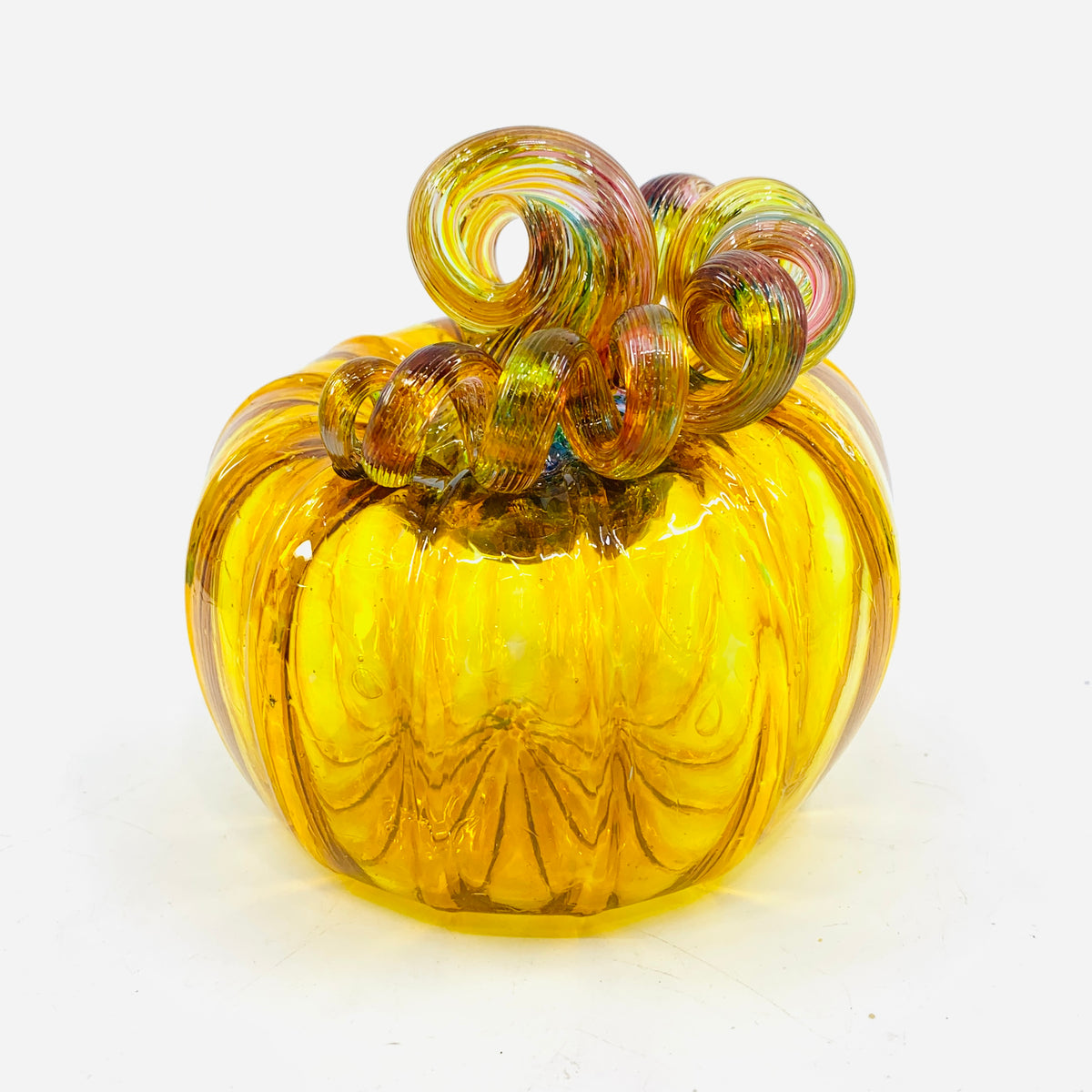 Daily Pumpkin 1117 Rainbow Stem Squat