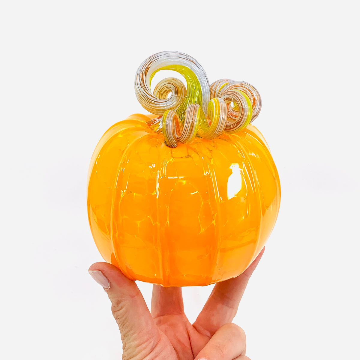 Daily Pumpkin 1141 Squat