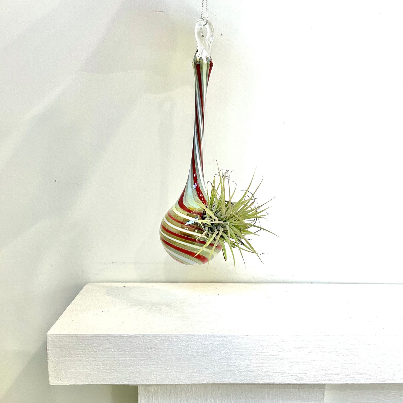 Air Plant Hanging Drop Vase 6 Decor Probstein Studios 