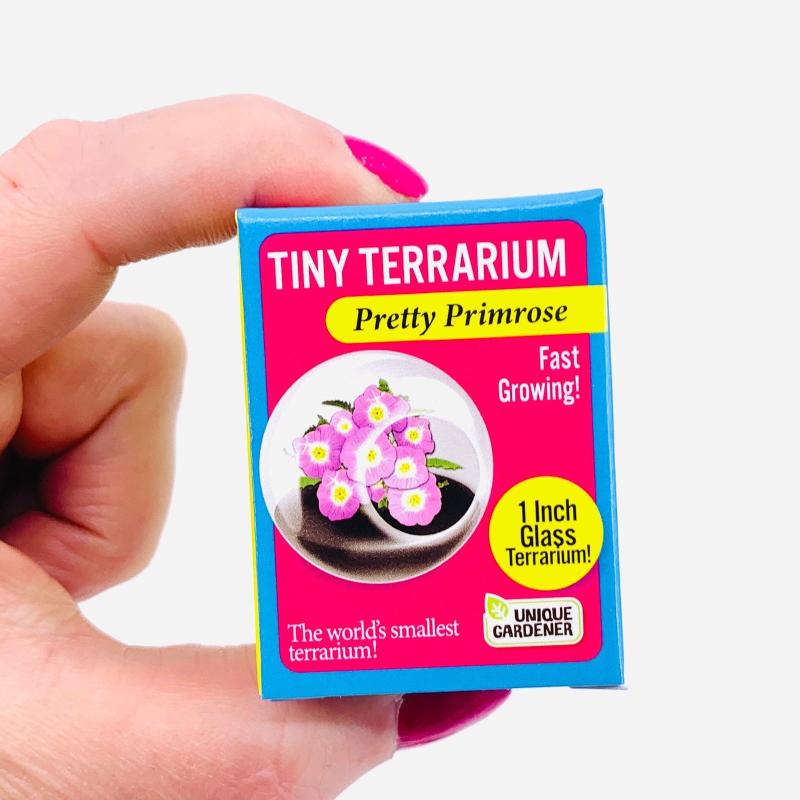 Tiny Terrarium, Pretty Primrose Silver Circle Products 