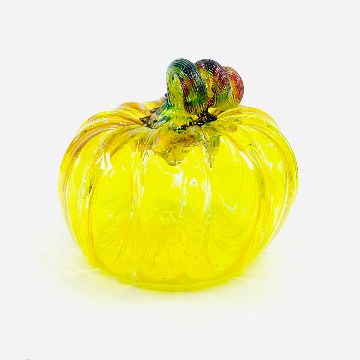 Daily Pumpkin 1360 “Oops” Squat