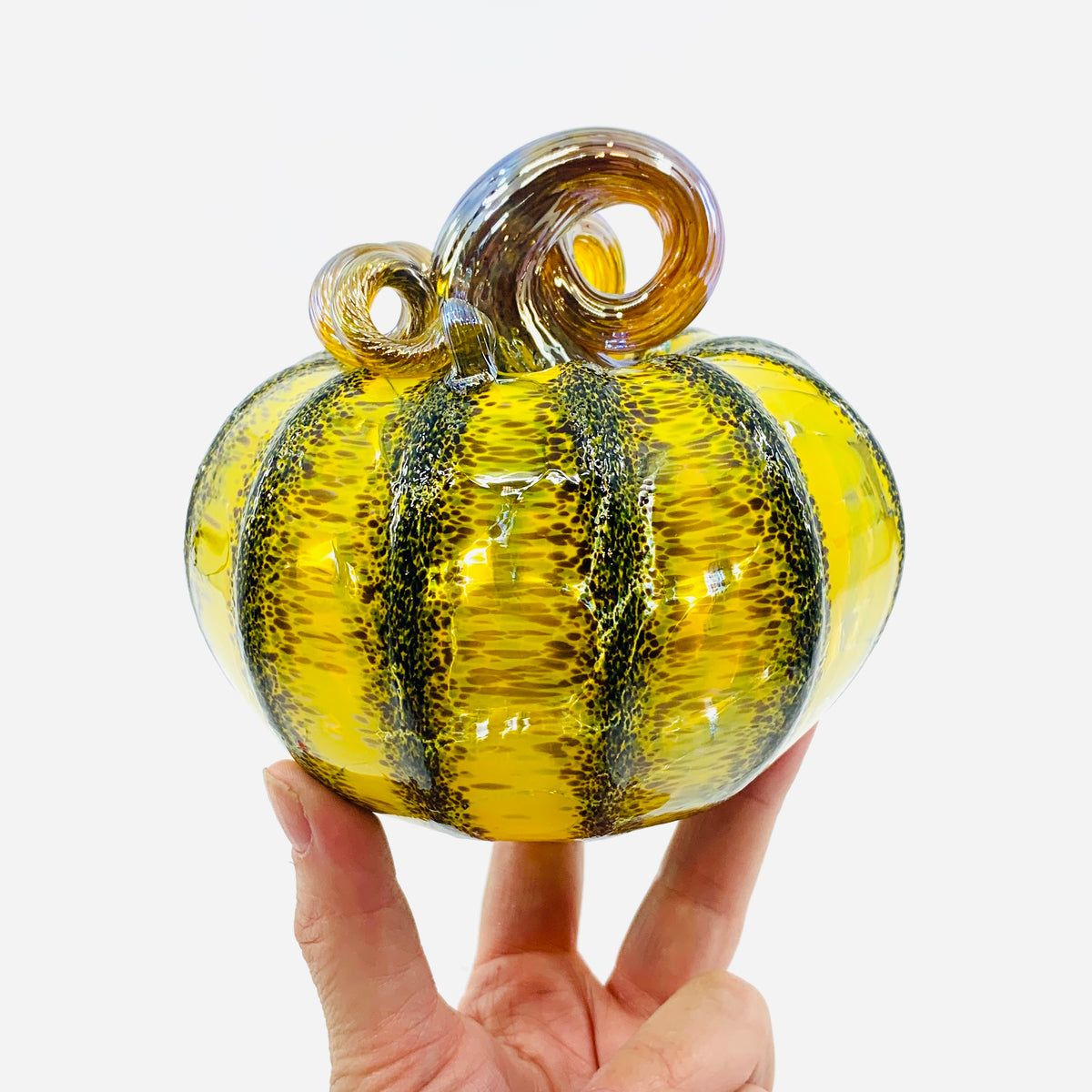 Daily Pumpkin 3709 Fall Squat