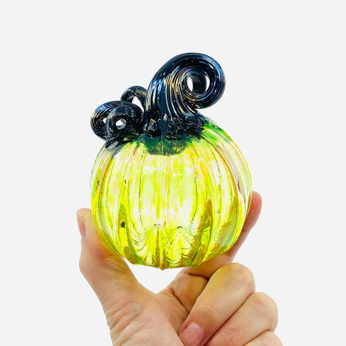 Daily Pumpkin 3479 Mini Gabby Luke Adams Glass Blowing Studio 