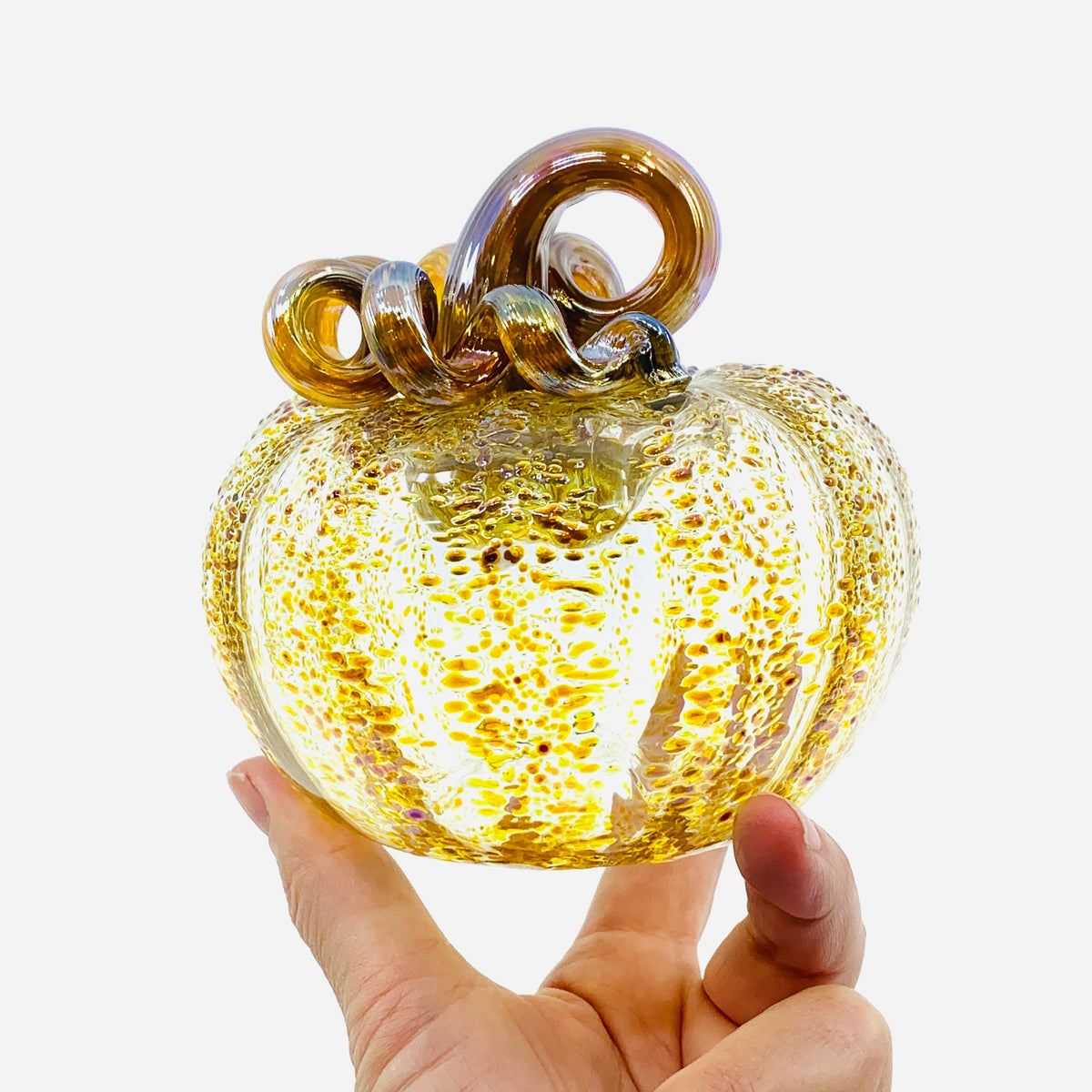 Daily Pumpkin 3731 Fall Squat