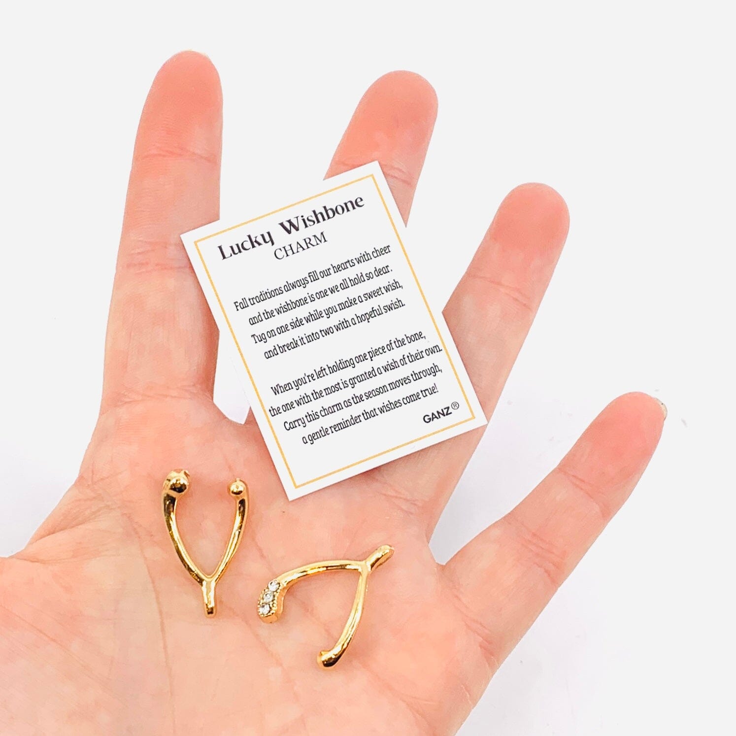 Lucky Wish Bone Charm PT178 Miniature GANZ 