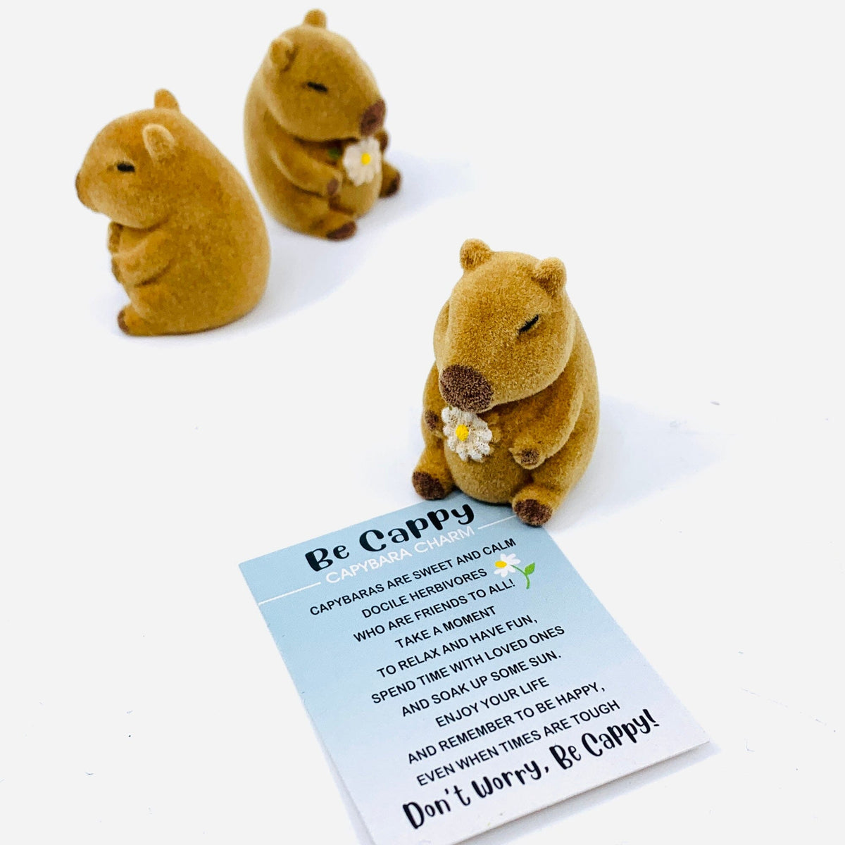 Be Cappy Capybara Pocket Charm - PT191 GANZ 