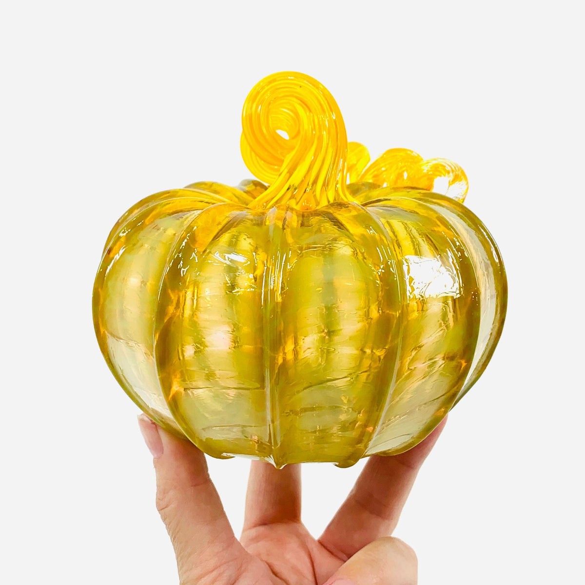 Daily Pumpkin 3463 Fall Squat Gabby Luke Adams Glass Blowing Studio 