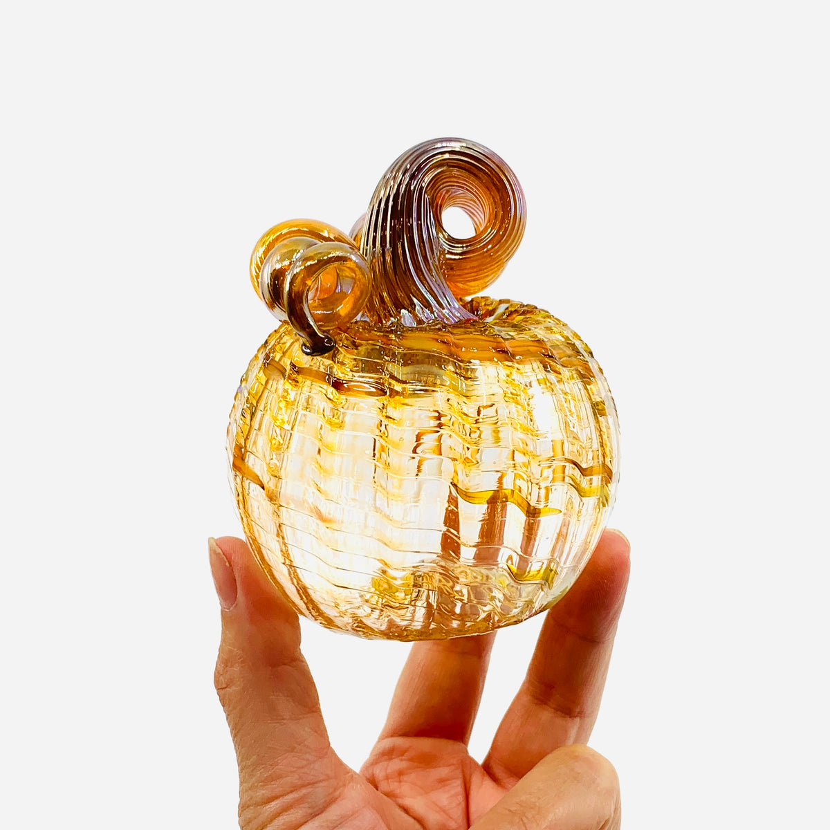 Daily Pumpkin 3283 Fall Mini