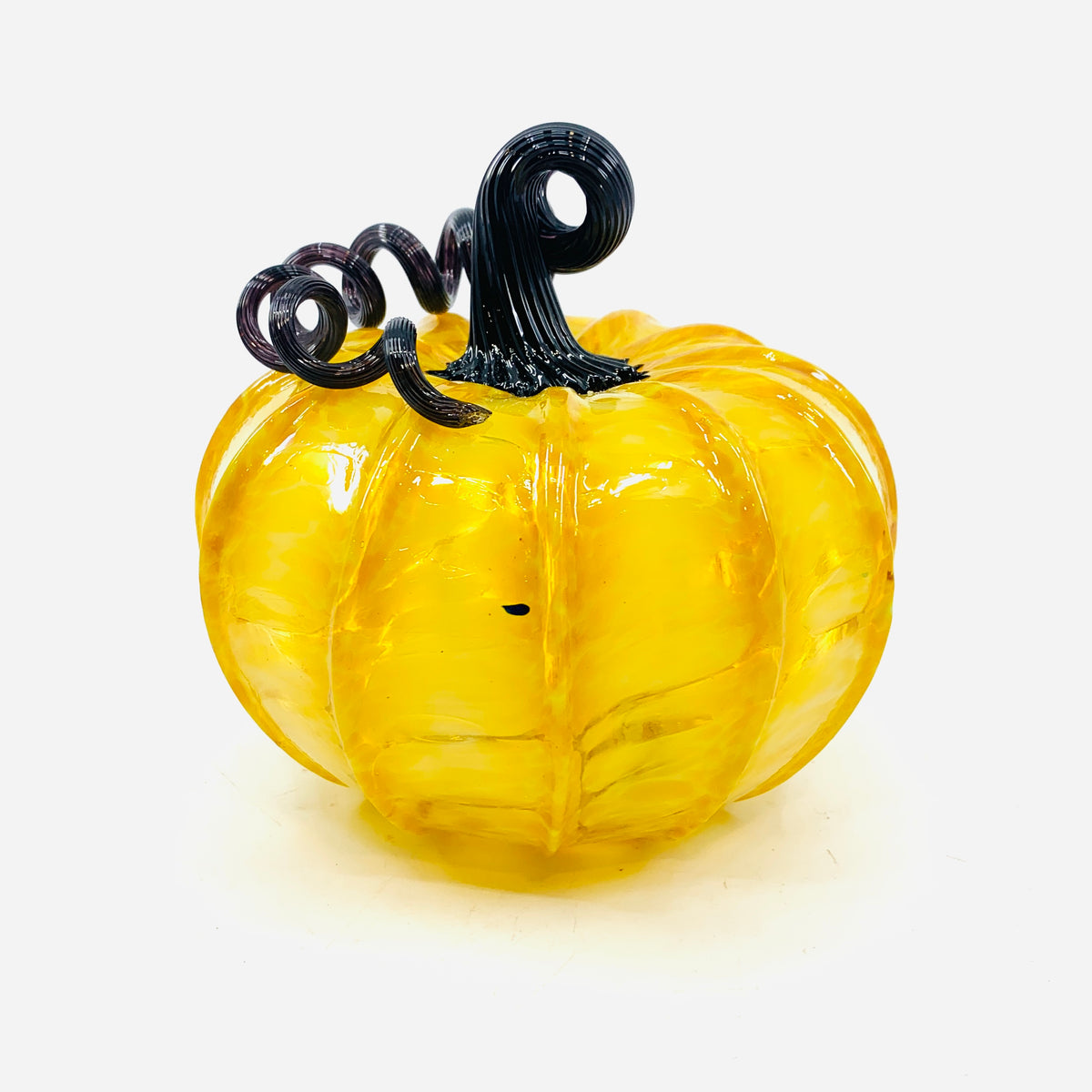 Daily Pumpkin 3683 Fall Squat