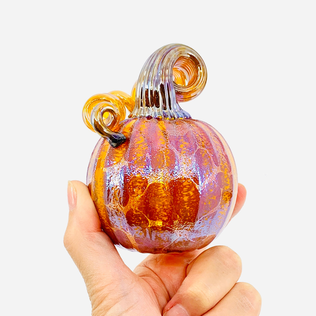 Daily Pumpkin 3300 Fall Mini