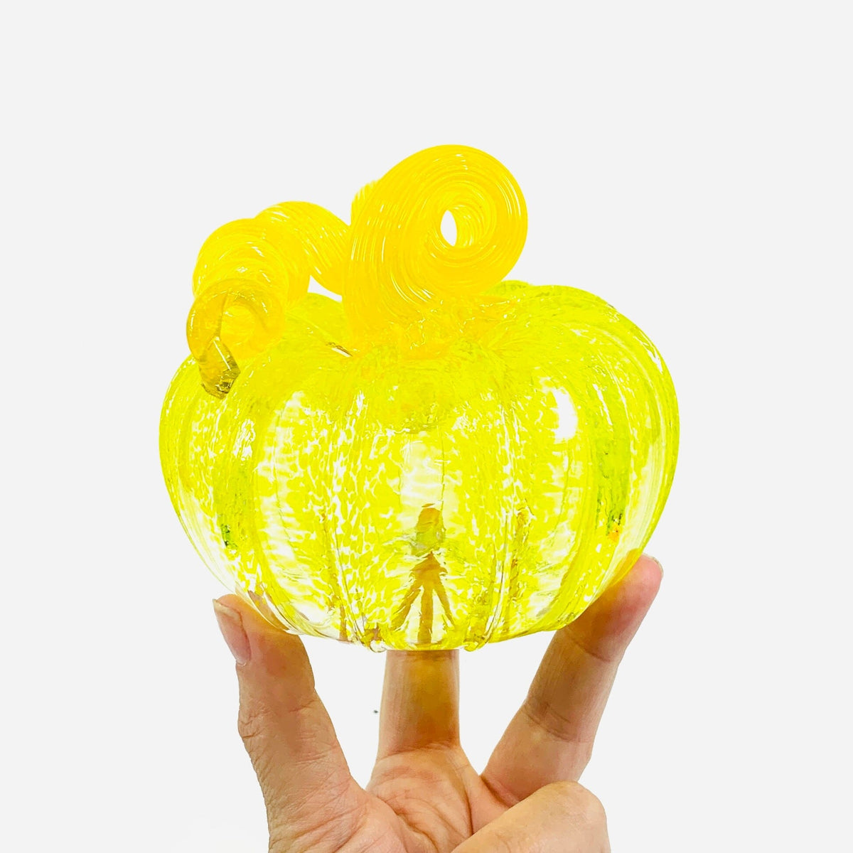 Daily Pumpkin 2728 Squat