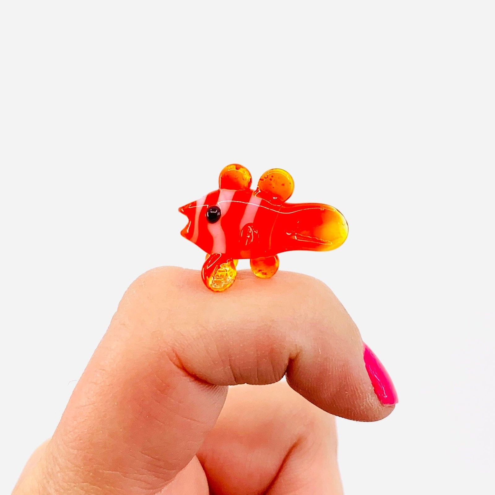 Teeny Teensie Clown Fish JACO 