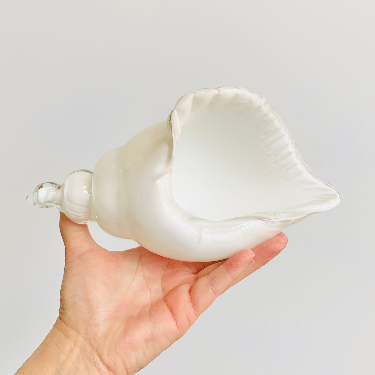 White and Clear Glass Conch Shell Decor Beachcombers 