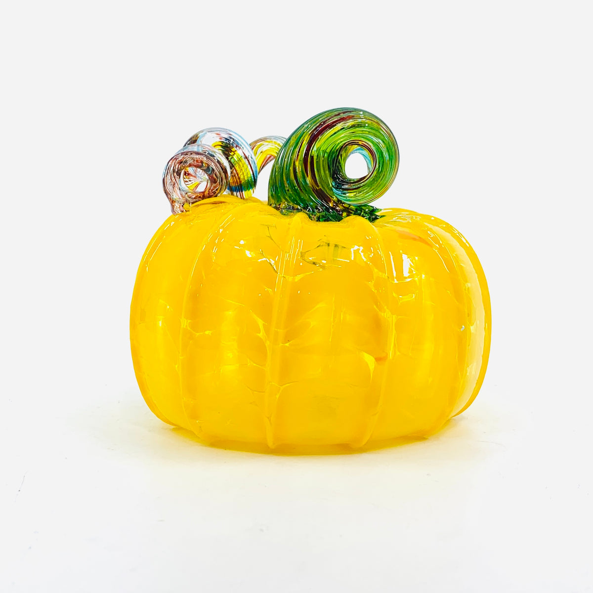Daily Pumpkin 1330 "Oops" Squat