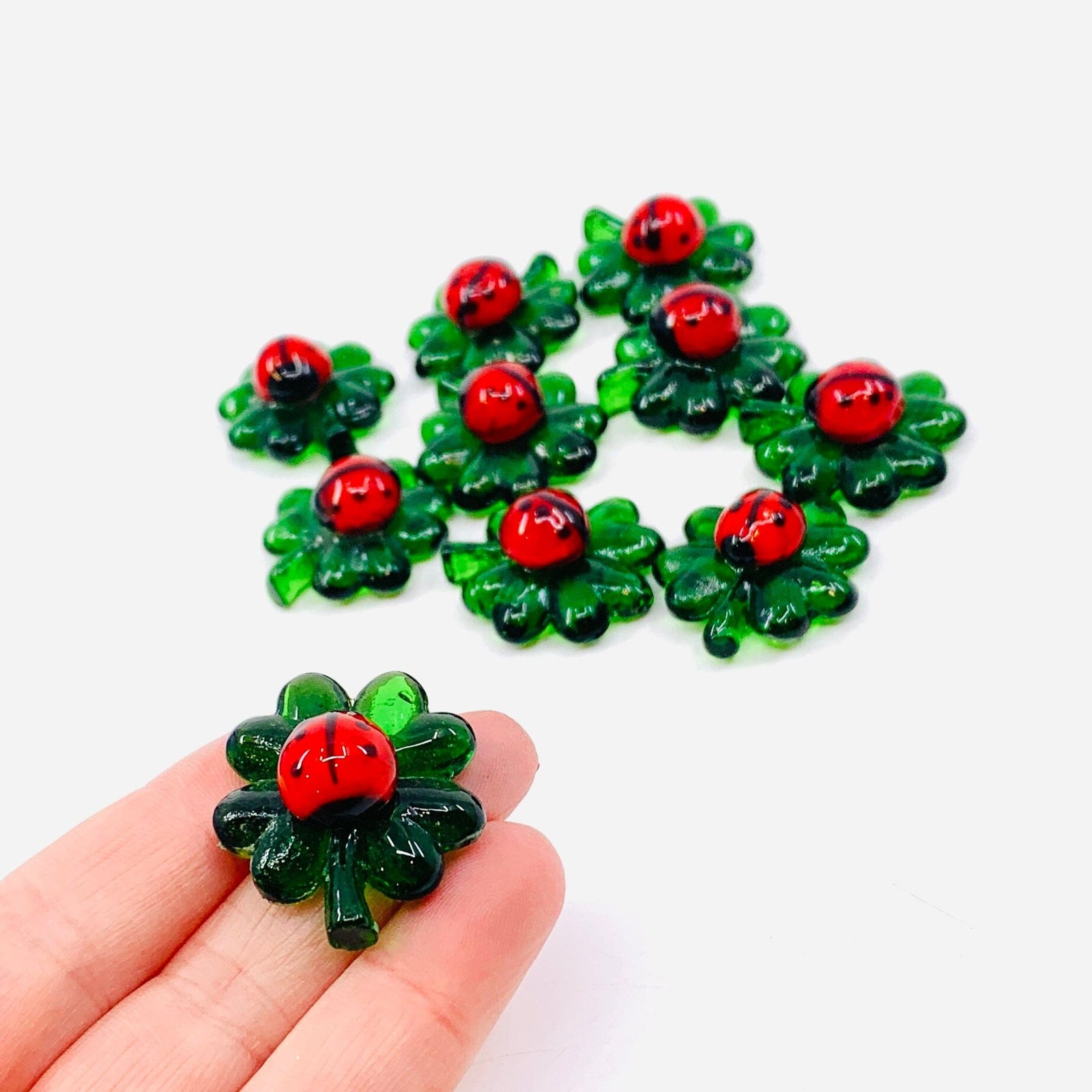 Lucky Glass Pocket Clover, Ladybug Miniature - 