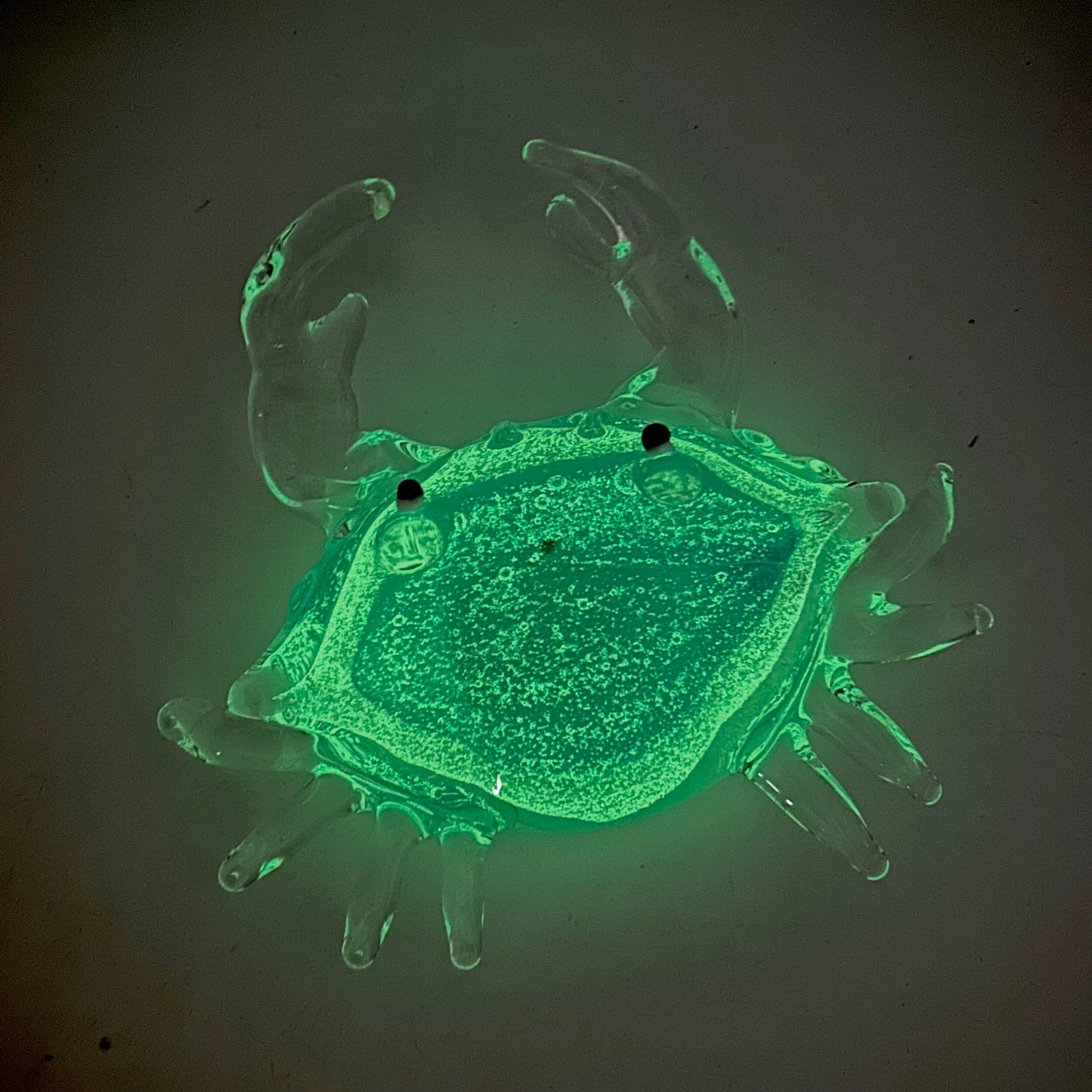 Glass Glow in The Dark Crab Paperweight Decor Chesapeake Bay 