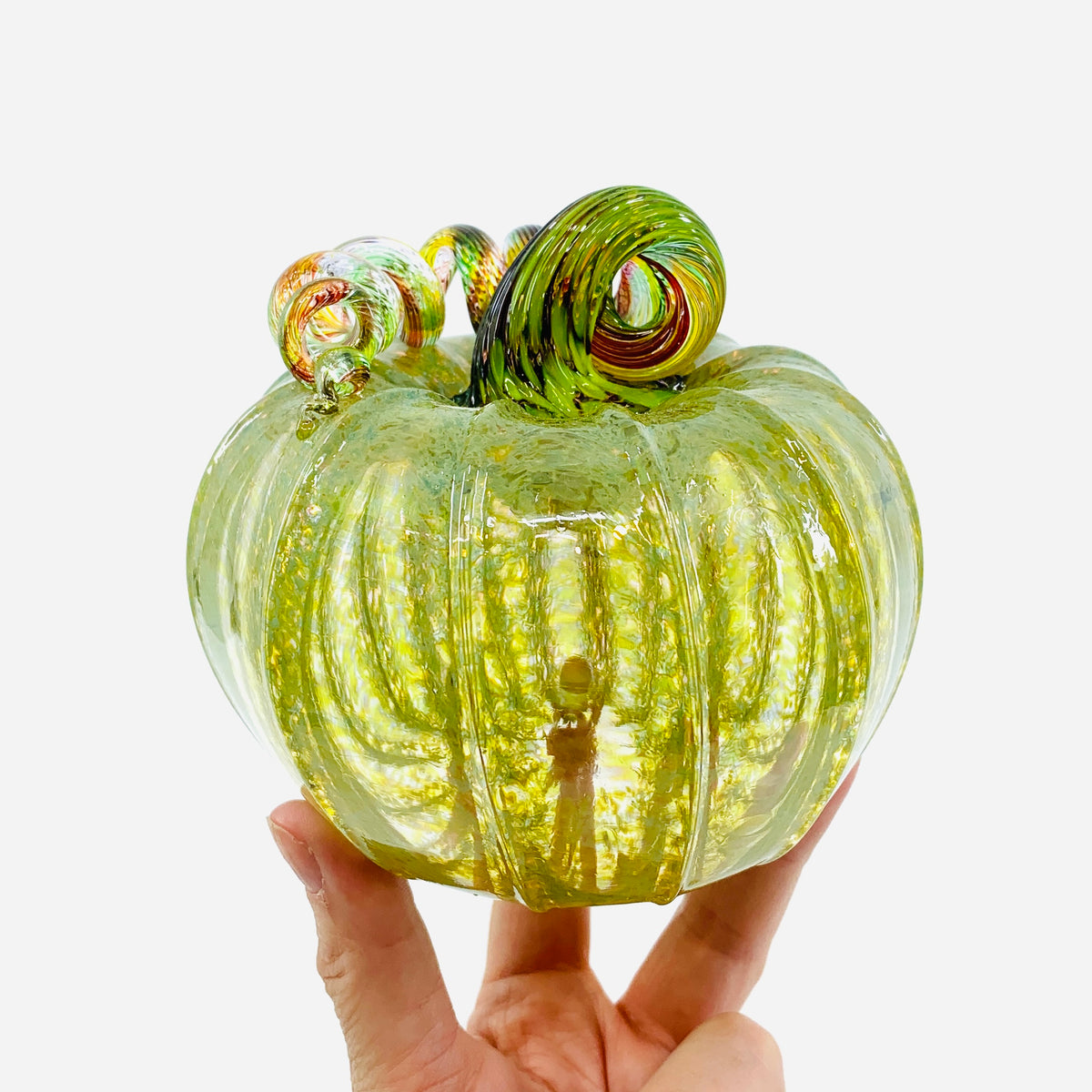 Daily Pumpkin 1294 Squat