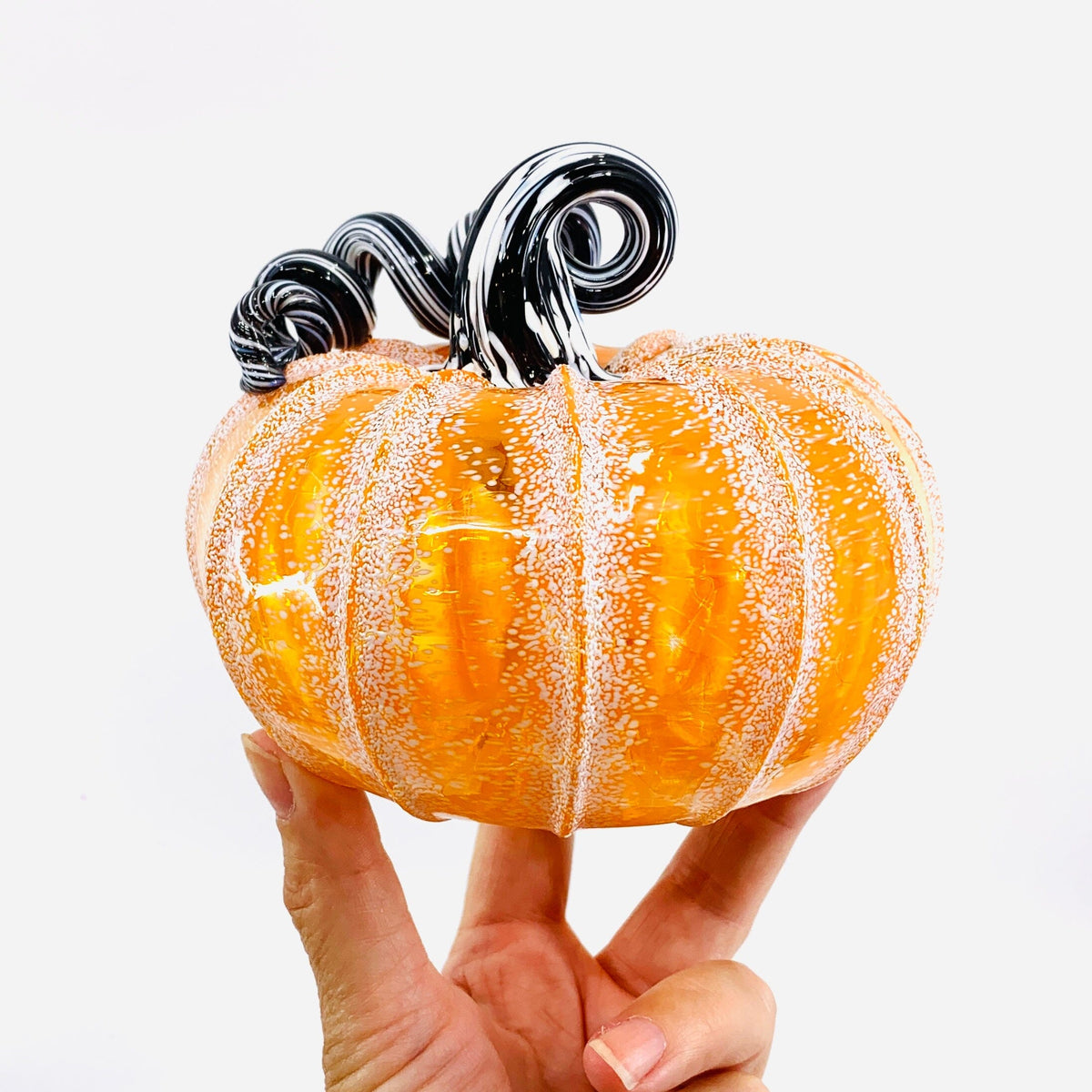 Daily Pumpkin 2515 Squat Gabby Luke Adams Glass Blowing Studio 